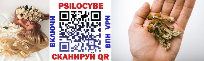 Псилоцибиновые грибы мицелий  Отрадное 